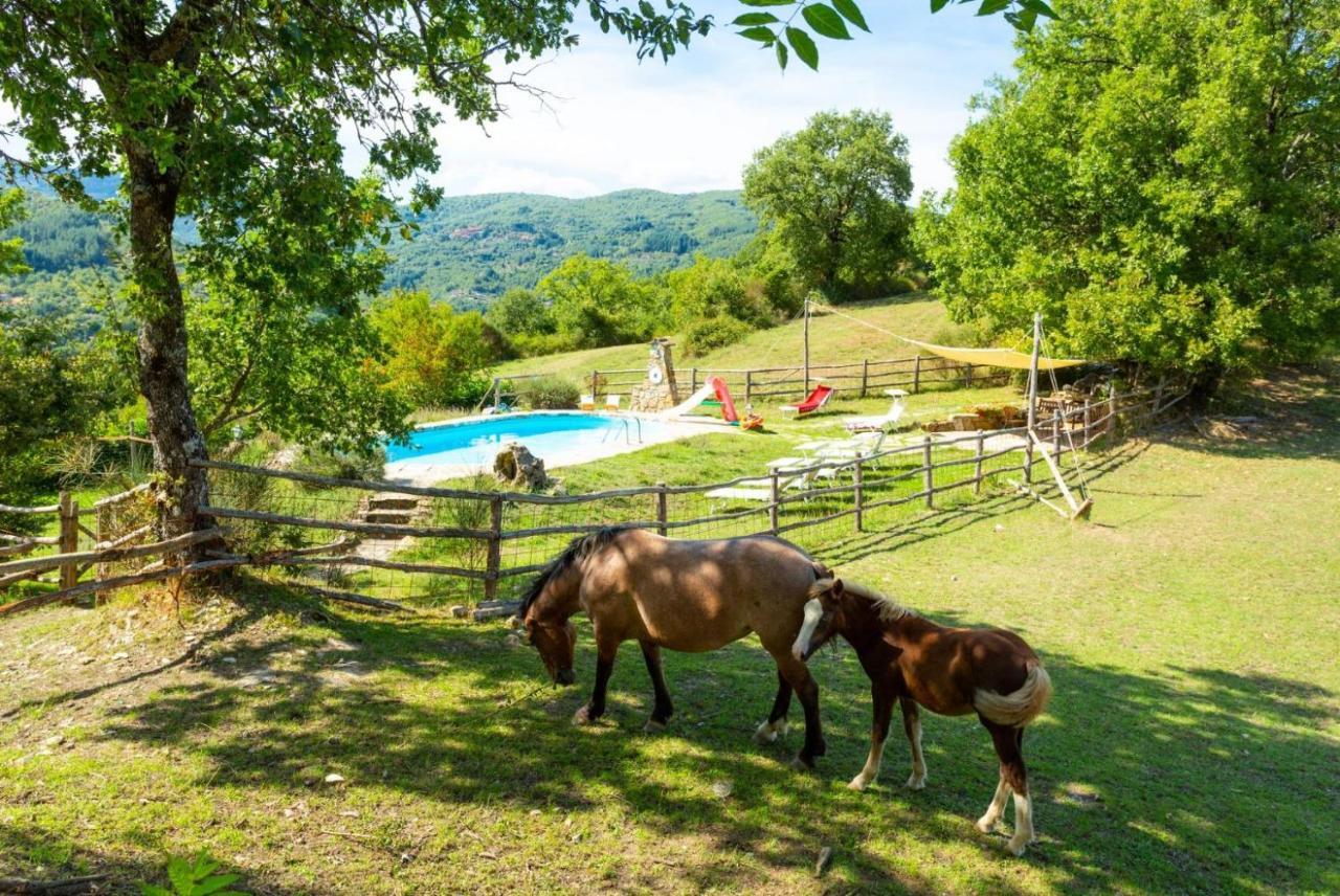 Villa Bellavista 아레초 외부 사진