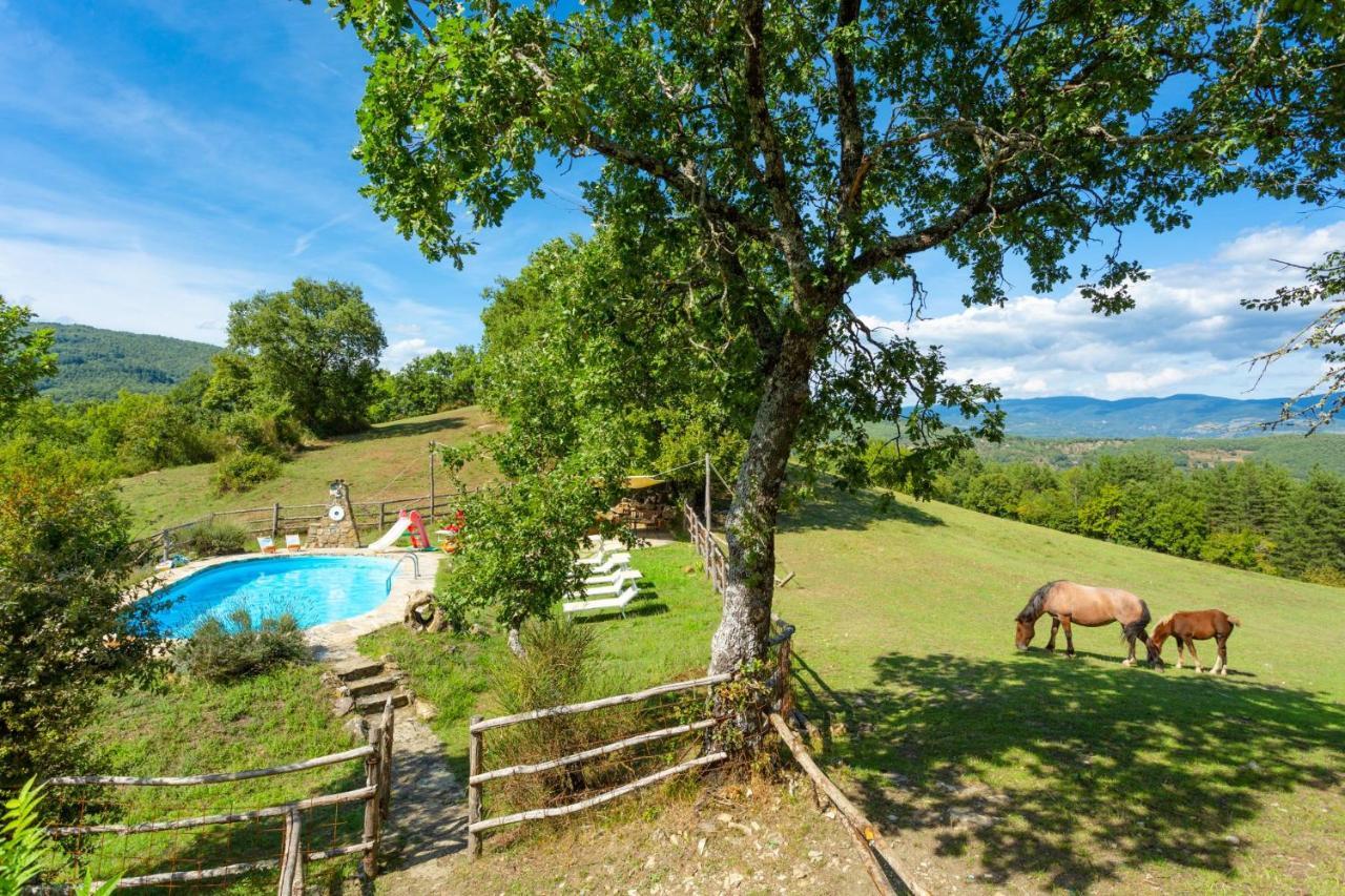 Villa Bellavista 아레초 외부 사진
