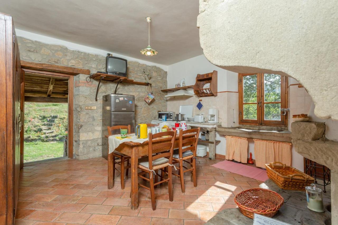 Villa Bellavista 아레초 외부 사진